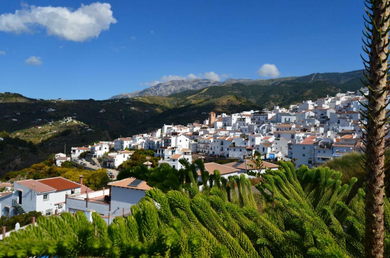 Posada La Plaza Canillas de Albaida Dış mekan fotoğraf